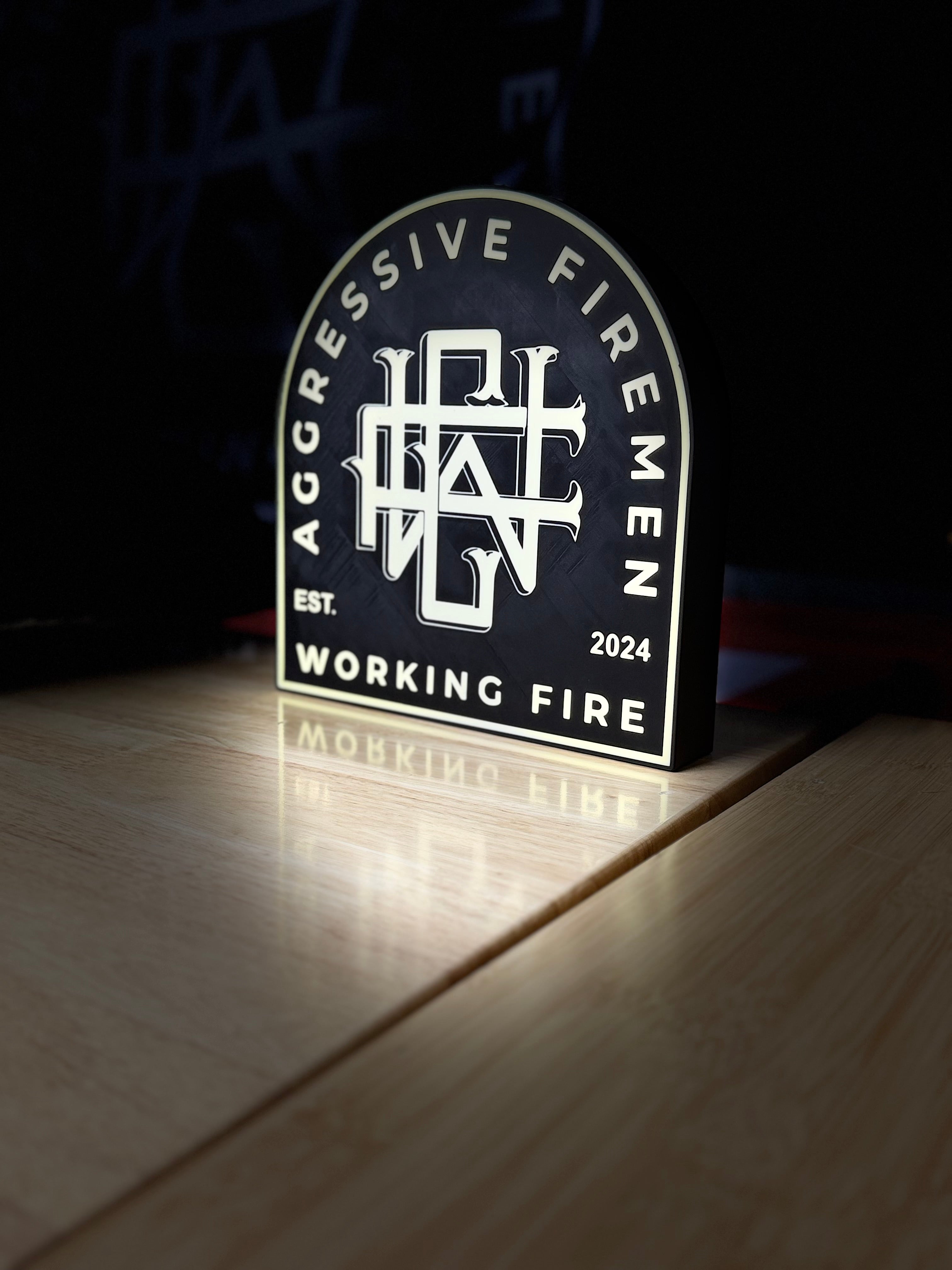 Working Fire LED Light Box