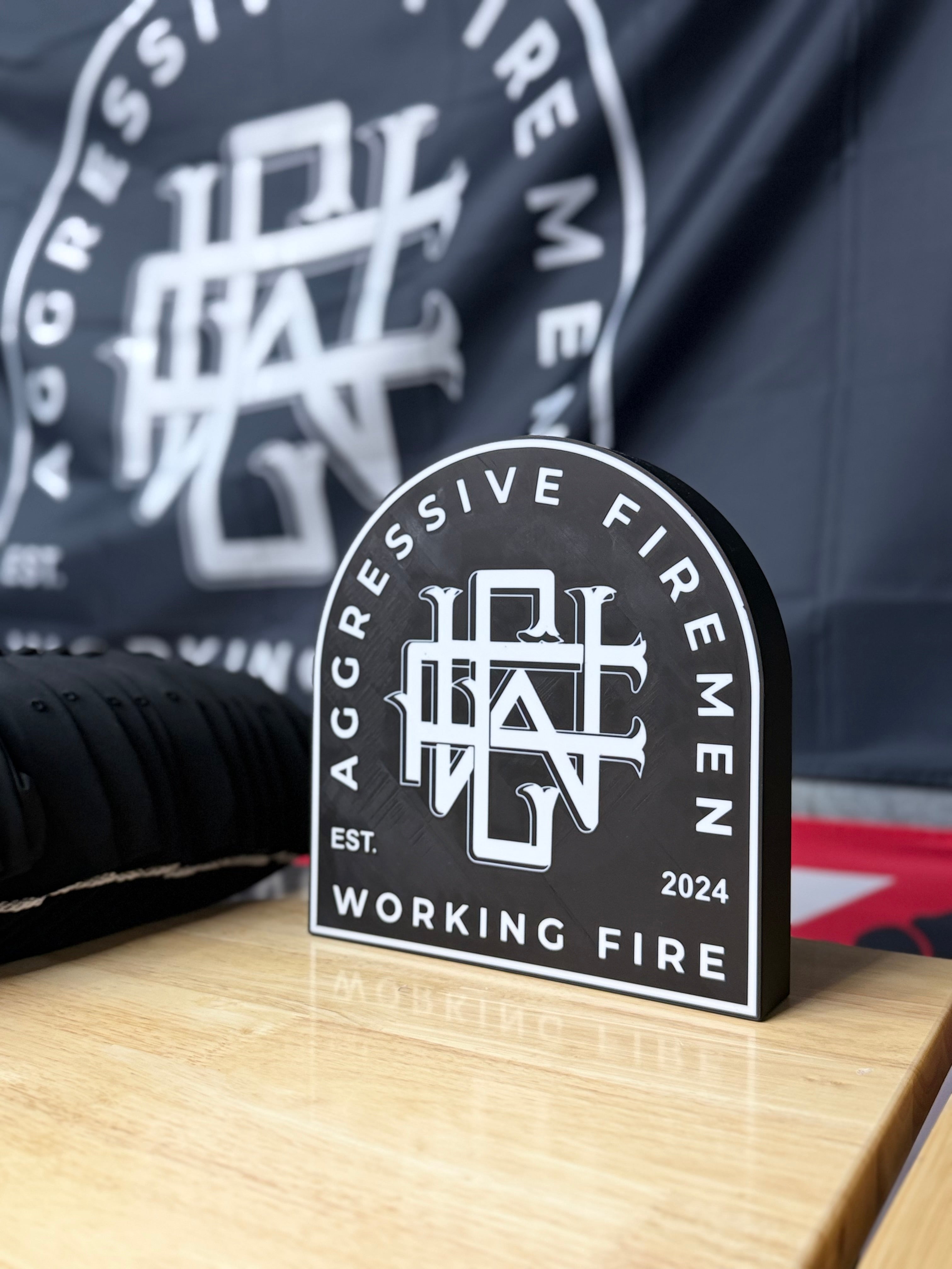 Working Fire LED Light Box
